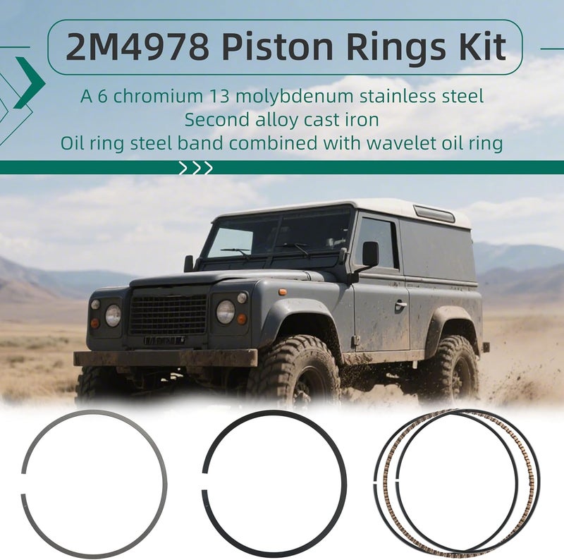 Riyhch 40PCS, Piston Ring kit,for 5.3L and 4.8L LS-based engines, including LM7, L59, LS4, LY5, LMG, LMF, LH6, LC9, and L33,OE 41859CP 2M4978 E-937K PR3165,Standard Size(STD) - Image 2